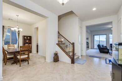 Desert Firetail Lane-9