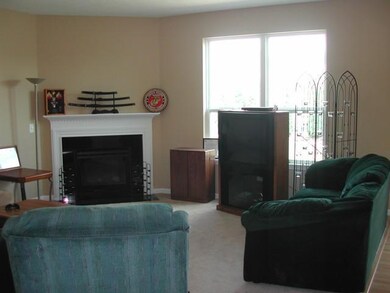 Family Room. FAMILY ROOM IS BRIGHT AND INVITING, GAS FIREPLACE AND WONDERFUL PRIVATE VIEW OF BACKYARD