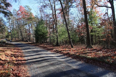 0 Rolly Rd unit LotWP001 23098894, Mount Jackson, VA 22842 - photo 3