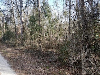 0 NE Cedar Trail unit 389161, Pinetta (Madison County), FL 32350 - photo 4