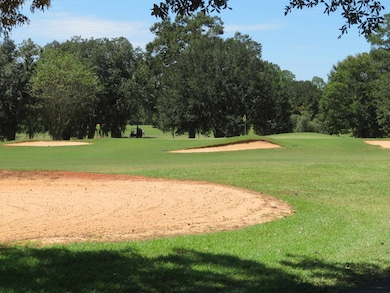 xxxx Lot 1 Solomon Dairy Rd, Quincy, FL 32351 - photo 6