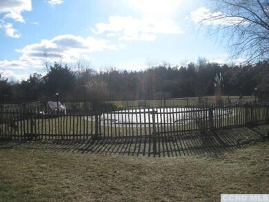 41 Trout Creek Rd, Germantown, NY 12526 - photo 5