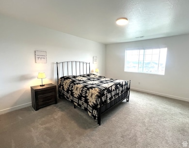 424 W Domain Ln, Grantsville, UT 84029 - photo 4