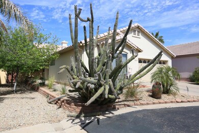 8118 N 10th Place, Phoenix, AZ 85020 - photo 2