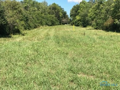 0 Devils Hole Rd unit 6034482, Pemberville, OH 43450 - photo 5