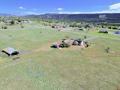 18145 Surface Creek Rd, Cedaredge, CO 81413 - photo 2