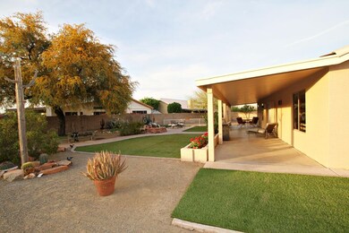 SideYard