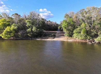 101 Sandy Bottoms, Gainestown, AL 36540 - photo 7