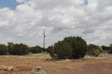 Parcel E Bourdon Ranch Rd, Show Low, AZ 85901 - photo 3