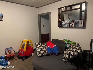 14 Helen St, Shamokin Dam, PA 17876 - photo 4