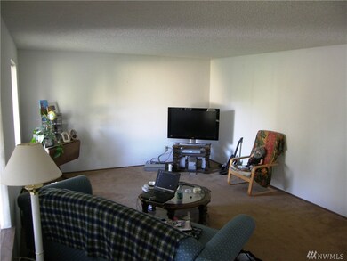 10120 Grove Rd SE, Yelm, WA 98597 - photo 3