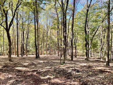 0 Harper Rd unit RTC2945401, Clarksville, TN 37043 - photo 4