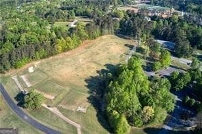 1010 Homestead Dr, Milton, GA 30004 - photo 3