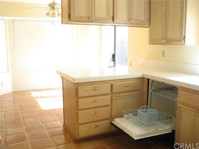kitchen-dishwasher