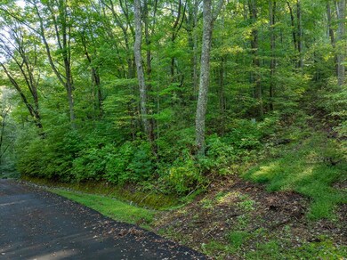 Lot 13 Wilderness Way, Ellijay, GA 30536 - photo 5