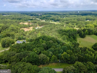 1304 Broadnax Mill Rd, Loganville, GA 30052 - photo 5