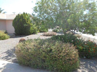 Front Landscape