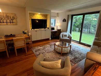 23 Black Bear Rd unit 103, Waterville Valley, NH 03215 - photo 7