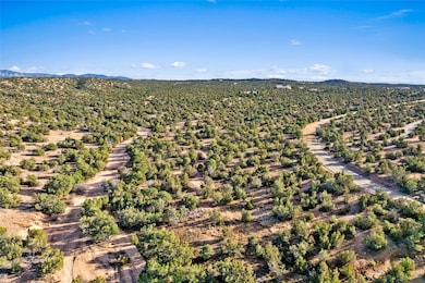 1661 Cerro Gordo Rd unit E, Santa Fe, NM 87501 - photo 6