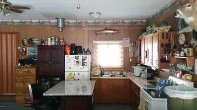 9790 S James Rd, Baldwin, MI 49304 - photo 7