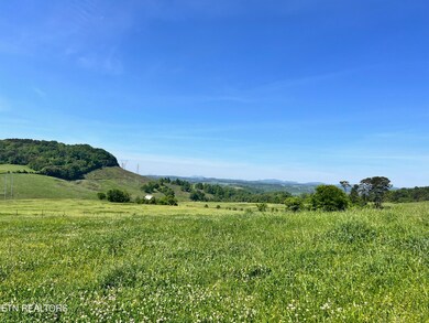 10 Buffalo Springs Rd, Rutledge, TN 37861 - photo 4