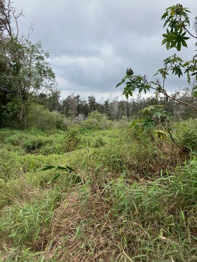 0 Catamaran Ln unit 723955, Ocean View, HI 96737 - photo 4