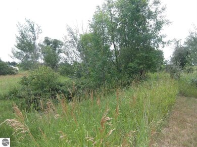 8215 Curtis Rd, Hale, MI 48739 - photo 3