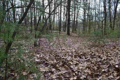 114 Ruggles Rd, Saratoga Springs, NY 12866 - photo 5