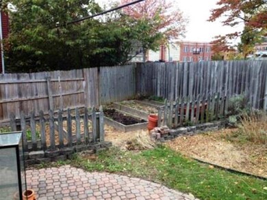 What will it be?  Radishes, lettuce, herbs, green 