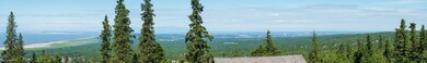 Panoramic View