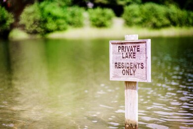 409 Timber Ln, Oxford, MS 38655 - photo 5