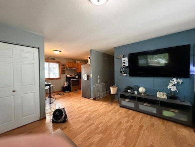 260 Winifred St E, Saint Paul, MN 55107 - photo 3