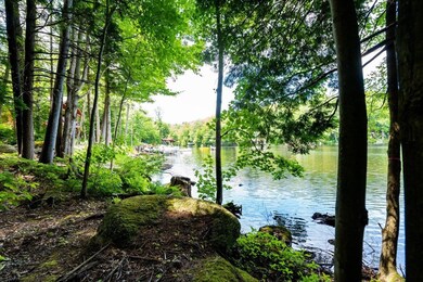 0 Winter Rd, Weare, NH 03281 - photo 5