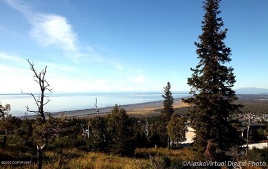 Cook Inlet