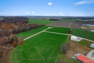 420 Bertha E Dumey Dr, Benton, MO 63736 - photo 4