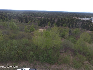 Big View