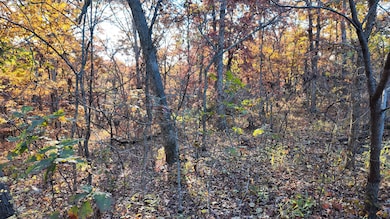 DJI_20251110220051_0009_D