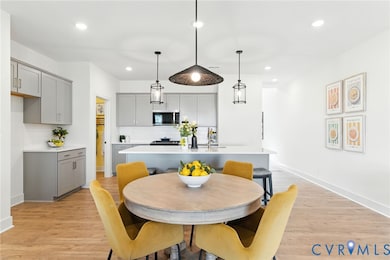 6824 Oasis Breeze Ln, Midlothian, VA 23112 - photo 6