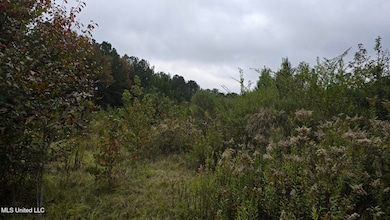 2077 County Line Rd W, Summit, MS 39666 - photo 2