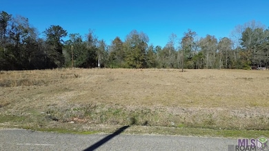 28519 Horseshoe Rd, Independence, LA 70443 - photo 2