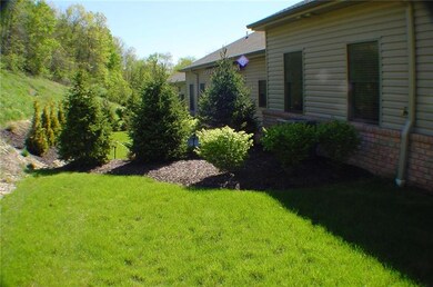 Back-landscaping