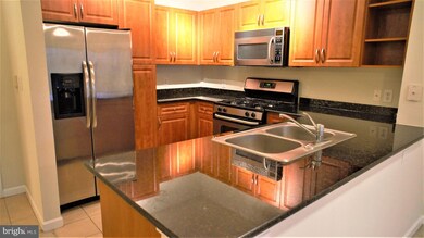 Bryson At Woodland Park unit 402, Herndon, VA 20171 - photo 7