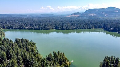 18230 Bald Hill Rd SE, Yelm, WA 98597 - photo 4