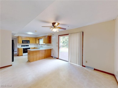 1025 S Ridge Rd E, Geneva, OH 44041 - photo 3