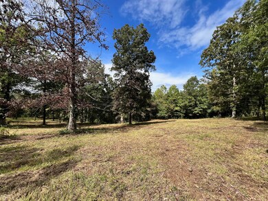 000 Rainbow Valley Trail, Mammoth Spring, AR 72554 - photo 2