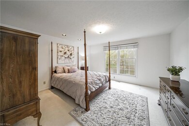 677 Grand View Ln, Aurora, OH 44202 - photo 7