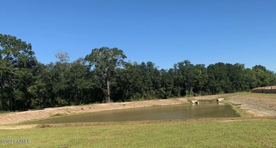 pond view