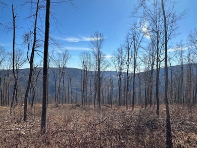 Horse Mountain Lead Pic.2