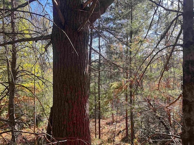 0 Cole School Rd, Beecher, WI 54156 - photo 5