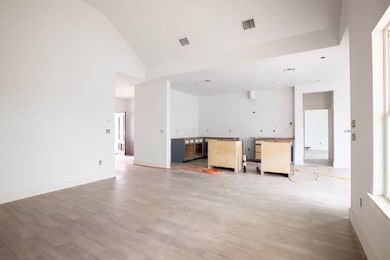 117 Parlin Ln, Fredericksburg, TX 78624 - photo 5